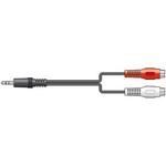 3.5mm Stereo Plug to 2x RCA Sockets 0.2m