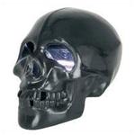 20w Skull Housing Stroboscope