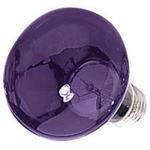 Blacklight Lamps 75w 