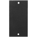 RSP-1SPACE 19" Rack Panel System for mounting to RSP-10F 