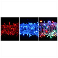 LED Light String Various Colours