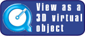 View as a 3D virtual object