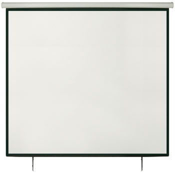 135 inch Electric Projector Screen 1:1
