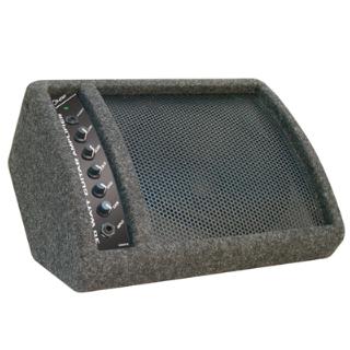Cheetah 30W Guitar Amplifier With Echo