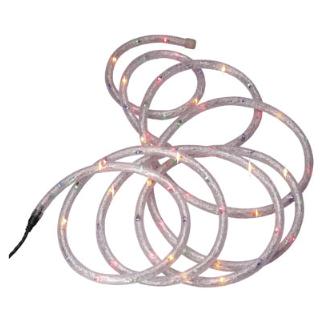 4 channel Rope Light with Controller Multi Coloured
