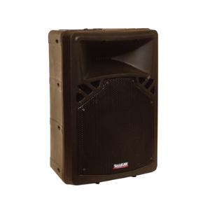Powered Cabinet 100W