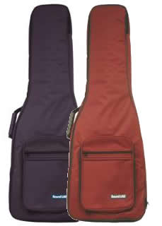 Professional Standard Electric Guitar Case