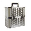 Polished Aluminium Flight Case 50 LPs