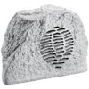 PA Garden Speaker Granite 100V