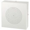 ESP-80/WS 100v Pa Wall Speaker Vandal Proof