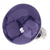 Blacklight Lamps 75w