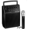 Wireless Amplifier System with Carry Case