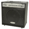 60W Guitar Amplifier With Overdrive