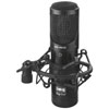 IMG Stageline ECM-140USB Professional Studio Condenser USB Microphone