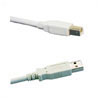 A to B (Female to Male) USB Lead Various Lengths