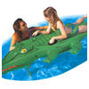 Crocodile Rider