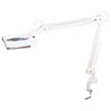 Rectangular Illuminated Magnifier