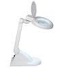 Desktop Illuminated Magnifier