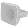 40w Compact Background Speaker