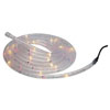 Rope Light with Controller Multi Coloured