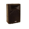 Powered Speaker Cabinet 100W