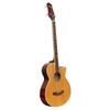 Electro Acoustic Bass Guitar Kit