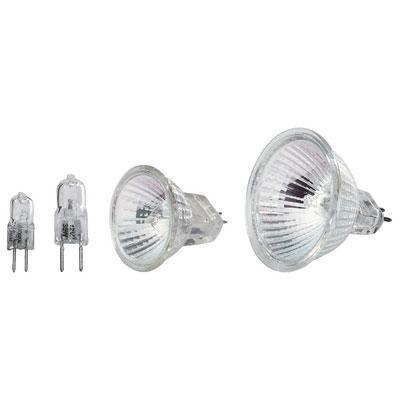 12V Pin Base Lamp and Halogen Reflector Lamp - main image