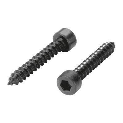 Hexagon Socket Wood Screws 4 x 25mm (Pack of 16)