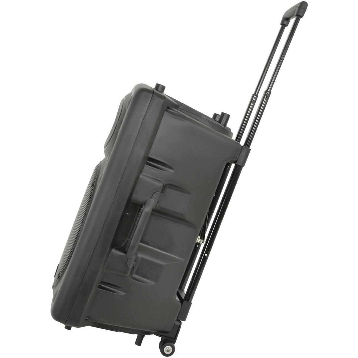 Portable PA System With 2 x Wireless Microphones 200W or 250W - main image