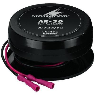  AR-30 Audio Exciter 30W 8ohm  - main image