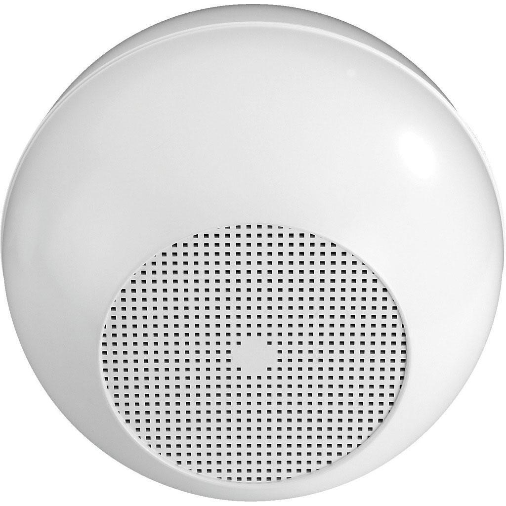 EDL-420/WS Weatherproof PA Ball Speaker - main image