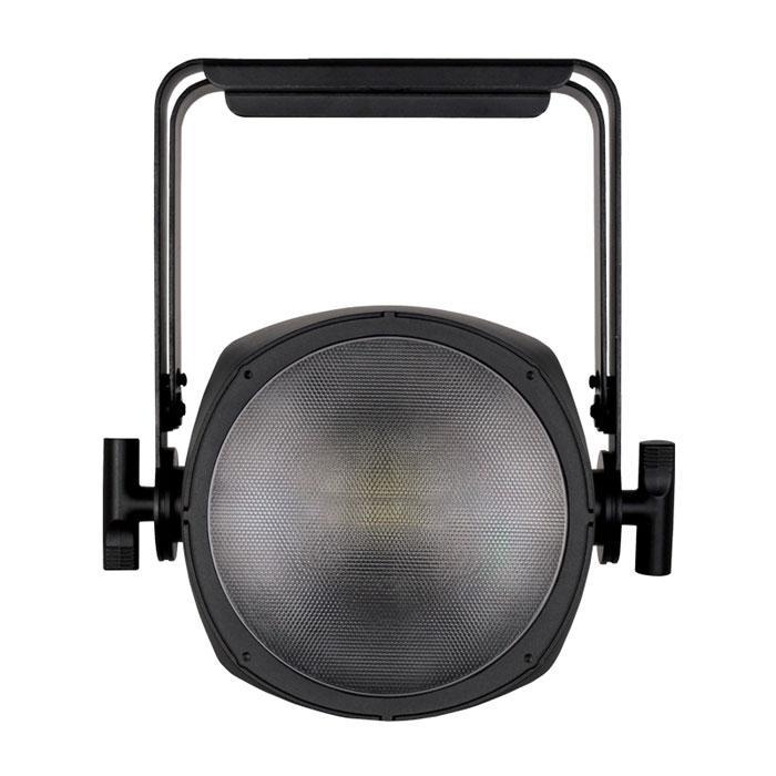 Endura CW100 COB Exterior Fixture IP Rated - main image