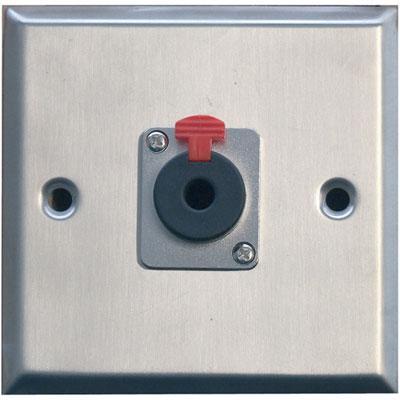 Silver Metal AV Wall Plate With 6.35mm Jack Socket - main image