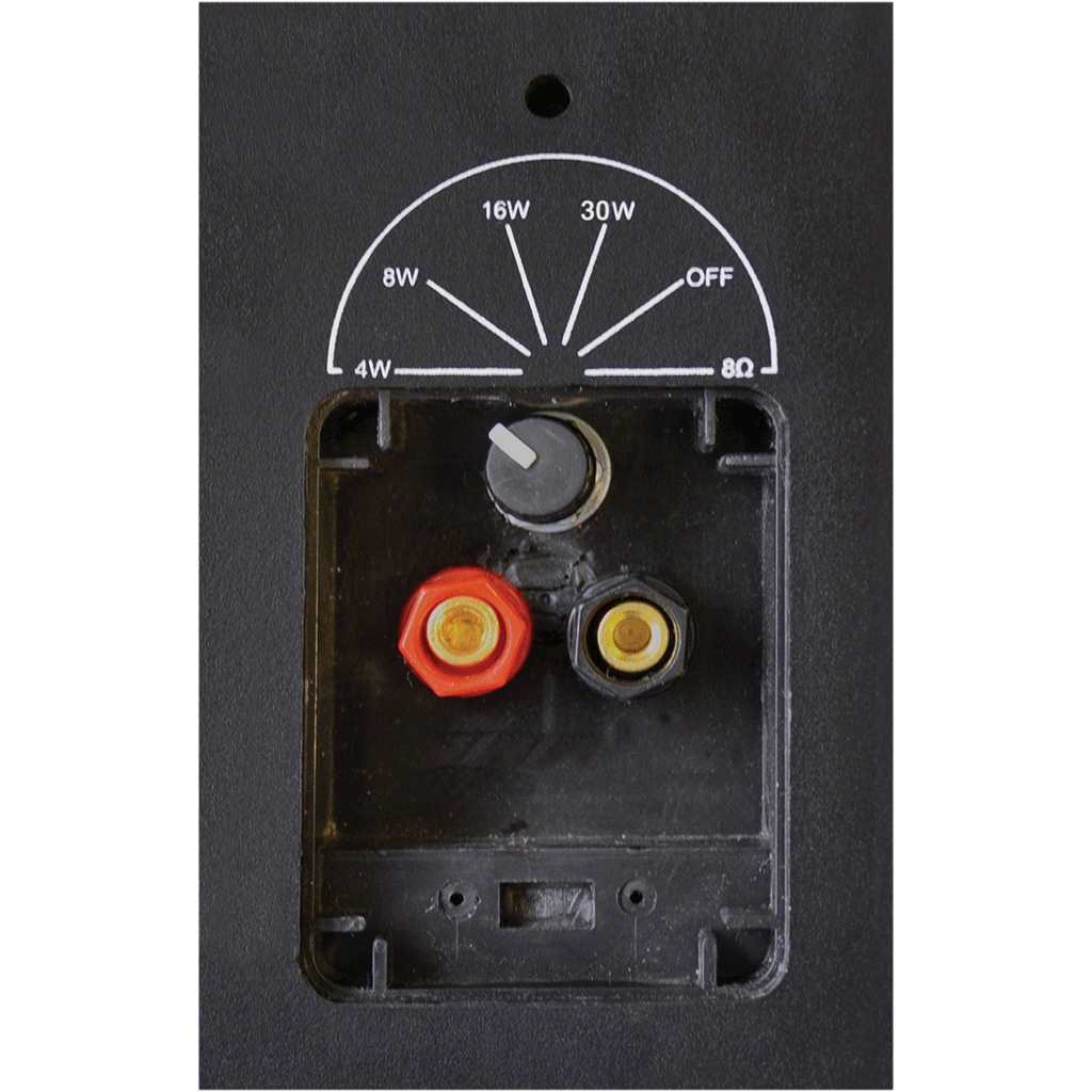 Eagle 100 V Line 8 Ohm 6.5" Wall Speaker With Bracket - main image