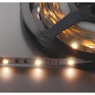 LEDS-55/WWS Flexible LED strips, 12V DC current for indoor applications