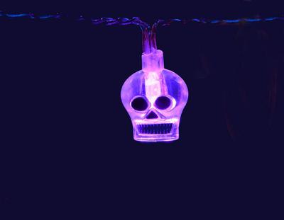 Violet Skull LED String Lights 1.7M