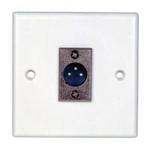 3-Pin Male XLR Wallplate