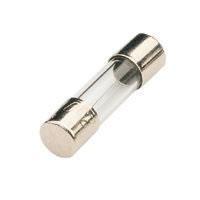 <b>100ma</b> 5x20mm Quick Blow Fuse