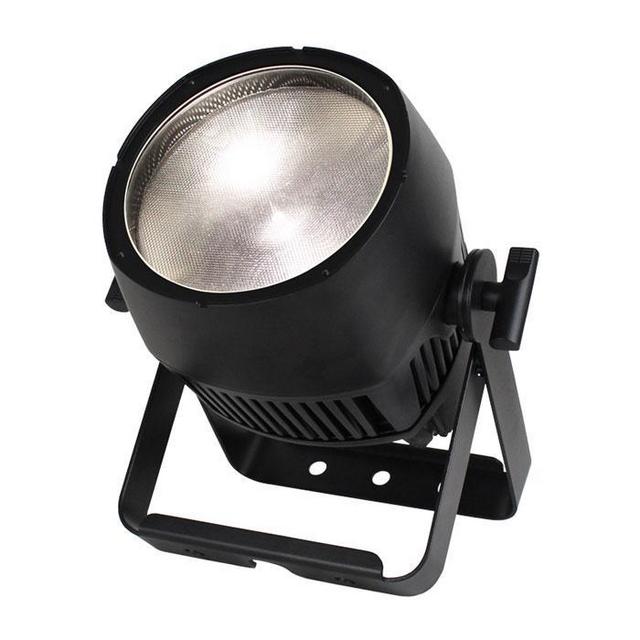 Endura CW100 COB Exterior Fixture IP Rated