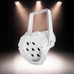 Compact PAR Can Warm White 7 x 3W (3000K)