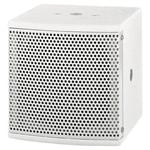 PAB-305/WS 100W Compact PA Speaker