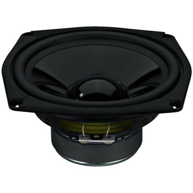 SPM-165/8 Black Cone And Rubber Surround