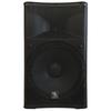 ZZiPP 15" Active Speaker With Media Player And BT